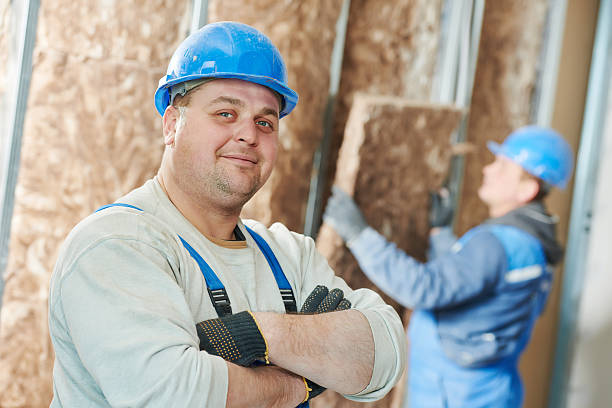 Best Eco-Friendly or Green Insulation Solutions  in Madison, NE